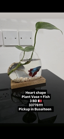 Busaiteen, Furniture, BHD 12,  Home Furniture