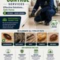 PEST CONTROL SERVICES Effective Solutions&hellip; Safe Home