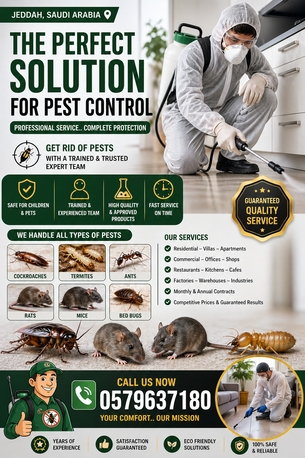 Jeddah, Pest Control, Pest Control Jeddah | مكافحة حشرات جدة &ndash; Fast & Guaranteed | Call Now