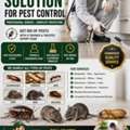 Pest Control Jeddah | مكافحة حشرات جدة &ndash; Fast & Guaranteed | Call Now