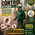 Pest Control & Fuemigation Services With  Experience Of 20 Year In K.S.A
