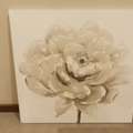 BHD 20,  Art Painting Canvas Decor