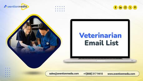 New York, General, Purchase An Industry‑focused Veterinarian Email List Business Contacts