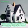 Unlock Lower Taxes: Expert Guide To Travis County Property Tax Protest