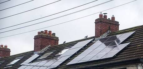 London, Business, Pigeon Guano Cleaning: Protect Your Solar Panels And Property From Hidden Damage