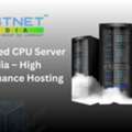 Dedicated CPU Server India &ndash; High Performance Hosting
