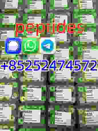 Tampa Bay, Health & Beauty Items, USD 20,  High Purity Peptides Of Factory Direct Sale.