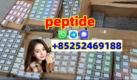 Winnipeg, Health & Beauty Items, CAD 20,  Hot Sale Freeze-Dried Peptide Peptides Tirzepatide Powder CAS 2023788-19-2