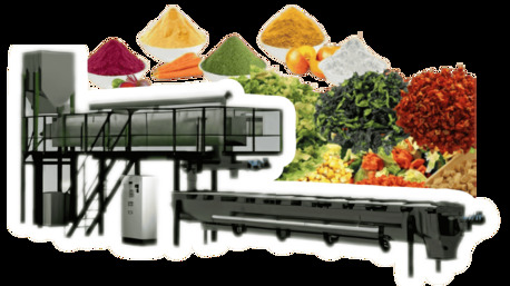 New York, Food, USD 599,  Organic Powdered Steam Sterilization