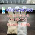 BRL 100,  5cl Precursor 5cladba 5FADB Raw Materials Adbb Precursor In Stock