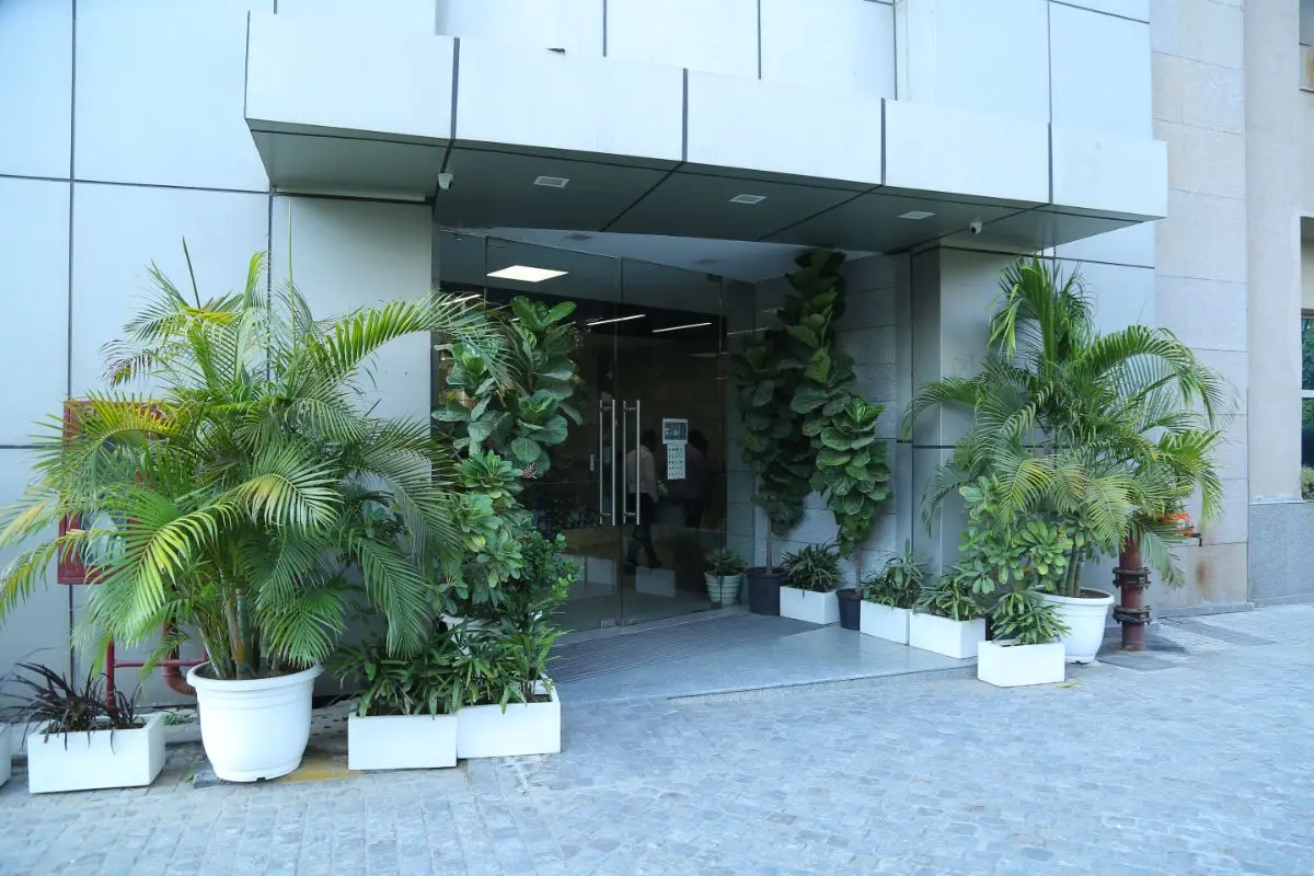 New Delhi, Health, Ayurvedic Hospital In Delhi