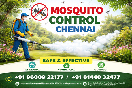 Chennai, Pest Control, Mosquito Control Chennai | Pest Rid Naturals