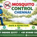 Mosquito Control Chennai | Pest Rid Naturals