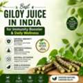 INR 540,  Giloy Juice For Digestion Support & Gut Wellness Naturally