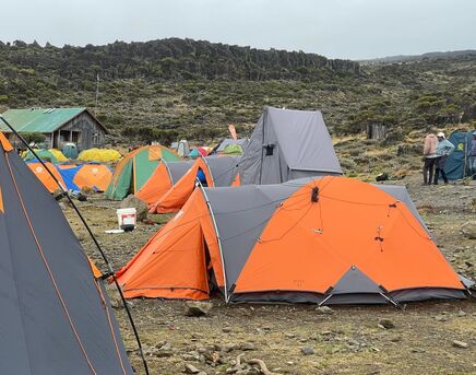 Dar es Salaam, Travel, Mount Kilimanjaro Journeys With Professional Tips For Successful Treks