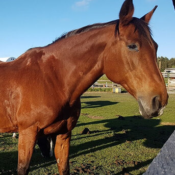 Calgary, Travel, Kids Summer Camp In Toronto