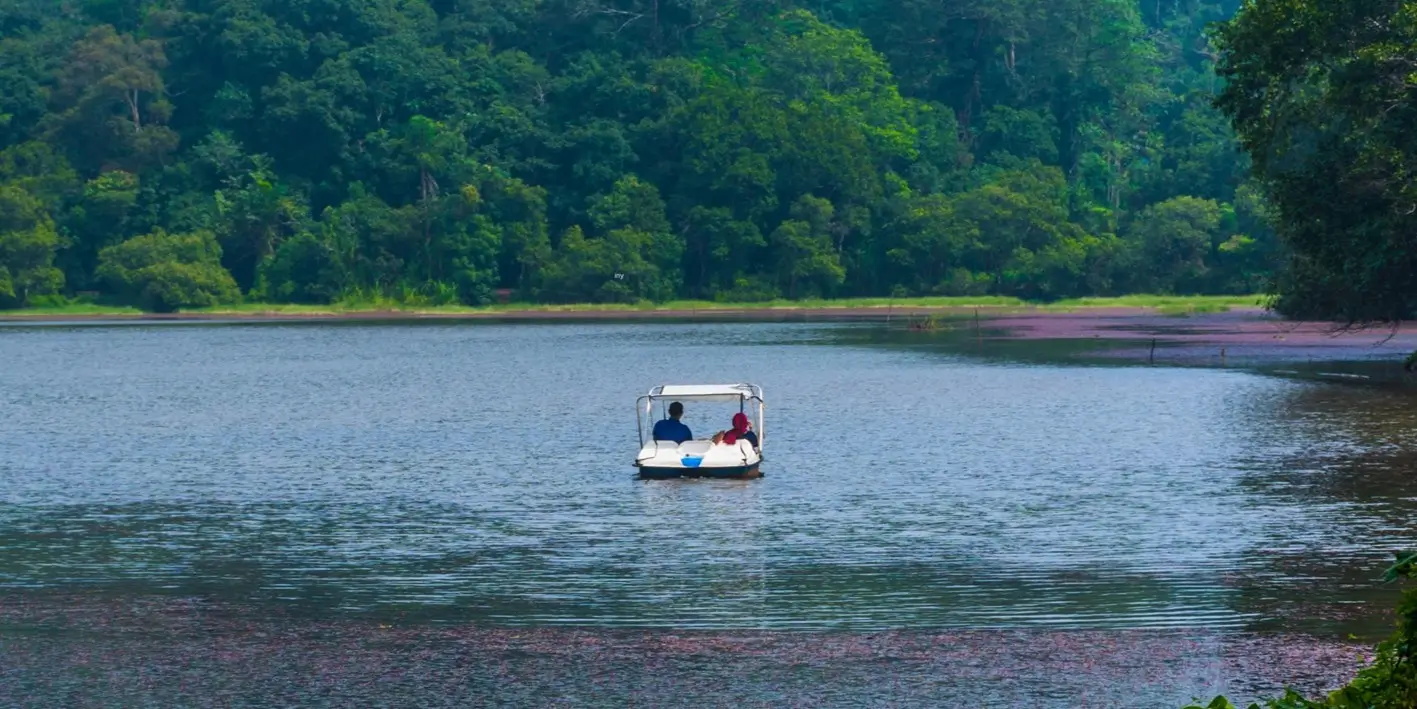 Mumbai, Business, Team Outing In Wayanad