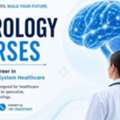 Upgrade Your Clinical Knowledge With Neurology Courses