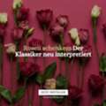 Rosen Schenken: Der Klassiker Neu Interpretiert