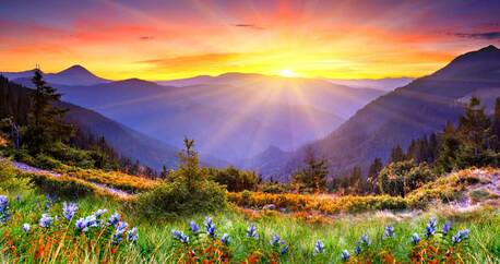 New York, Health, Searching For Trusted Addiction Recovery Support In Tarzana?