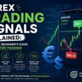 Forex Trading Signals Explained: Complete Beginner&rsquo;s Guide To Smarter Trading