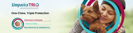 New York, Pet Supplies, USD 100,  Simparica Trio For Dogs - Up To 30% OFF + Free Shipping | PetCareClub