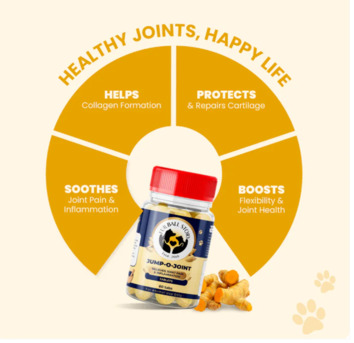 Gurgaon, Pet Sitting, What If Your Dog Could Tell You Where It Hurts?