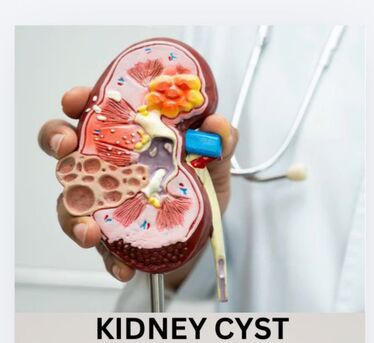 Panchkula, Health, Expert Nephrology Treatment For Better Kidney Health