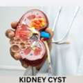 Expert Nephrology Treatment For Better Kidney Health