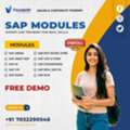 Build A Future-Ready SAP Career With Visualpath Now