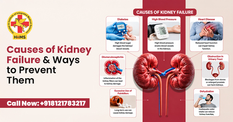 Chandigarh, Health, Best Kidney Care Treatment | Improve Function Naturally