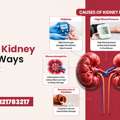 Best Kidney Care Treatment | Improve Function Naturally