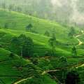 12 Days Kerala Tour Package &ndash; Backwaters, Hills & Beaches