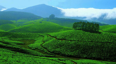 New Delhi, Travel, 12 Days Kerala Tour Package &ndash; Backwaters, Hills & Beaches