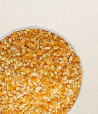 Indore, Food, Shreeji Ingredients &ndash; Corn Grits Manufacturer & Supplier In India