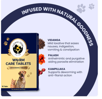 Gurgaon, Pet Sitting, Not All Problems Bark For Attention