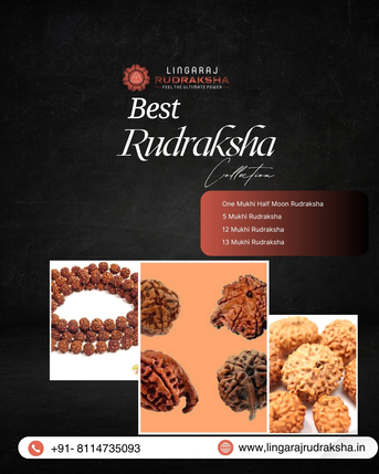 Mumbai, Business, Best Rudraksha Shop In Berhampur