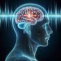 Effective PTSD Treatment Program For Lasting Recovery And Mental Wellness