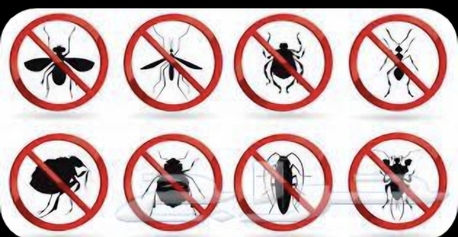 Al Andalus, Pest Control, ☑️Pakistani Mover And Packer House Office Shifting Pest ControlProfessionalTeam0503175078