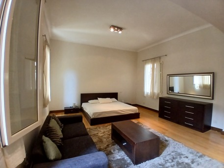 Zamalek, Apartments, Flats, Houses & Villas, USD 2800/month,  Furnished,  2 BR,  180 Sq. Meter,  5541-Apartment For Rent In Zamalek, Cairo, Egypt