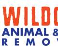 #1 Wildlife Removal And Pest Control