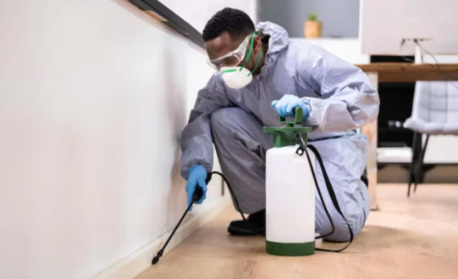 New York, Pest Control, #1 Wildlife Removal And Pest Control