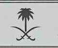 SAR 25000,  FANCY/LUXURY CAR PLATE FOR SALE (1001 SKR),  2026,  Automatic,  1001 KM,  FANCY/LUXURY CAR PLATE FOR SALE (1001 SKR) ر ك س 1001