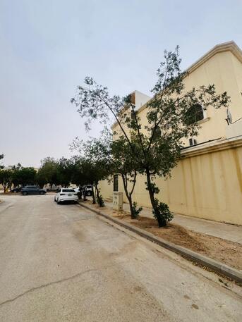 Al Jazirah, Apartments, Flats, Houses & Villas, SAR 30000/year,  Furnished,  2 BR,  SAR 2800/month, 2 Big Size Bed Rooms,TV Lounge, Kitchen, Washrooms For Family (negotiable)