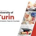 Study At University Of Turin