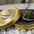 Buy Premium Caviar Persian Beluga Huso Huso In Dubai