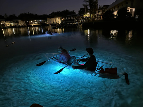 New York, Restaurants, Sunset Glow Kayak Tour | Clear Kayak Manatee Tour