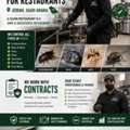 🛑 Professional Pest Control For Restaurants In Jeddah