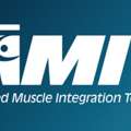 Advanced Muscle Integration Technique A.M.I.T. - Kaysville Chiropractor | Back Pain