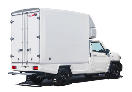 Al Wizarat, Temp Jobs, Toyota Hilux Driver With Truck